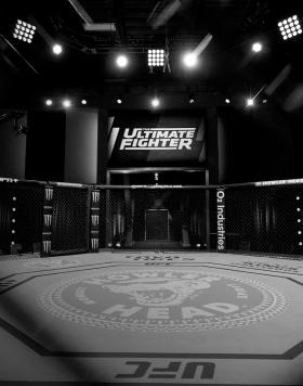 Generic image of the Octagon ahead of The Ultimate Fighter