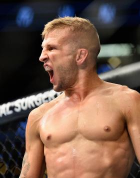 TJ Dillashaw reacts after defeating Cody Garbrandt in their UFC bantamweight championship bout during the UFC 217 event at Madison Square Garden