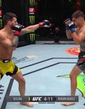 Bruno Silva KOs Rodriguez In One Minute | UFC Fight Night: Font Vs. Garbrandt Highlight