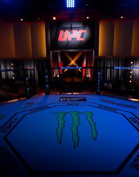 the octagon inside the ufc apex