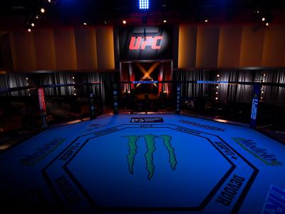 the octagon inside the ufc apex